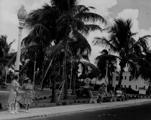 9/15/1946; Palm trees and bench improve Dade Blvd. bus stops.